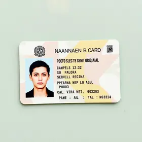 Carteira de Identidade Nacional (CIN)