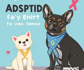 adoção de animais com deficiência