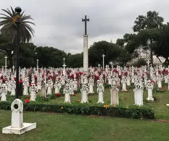Poupatempo fecha no feriado de Finados